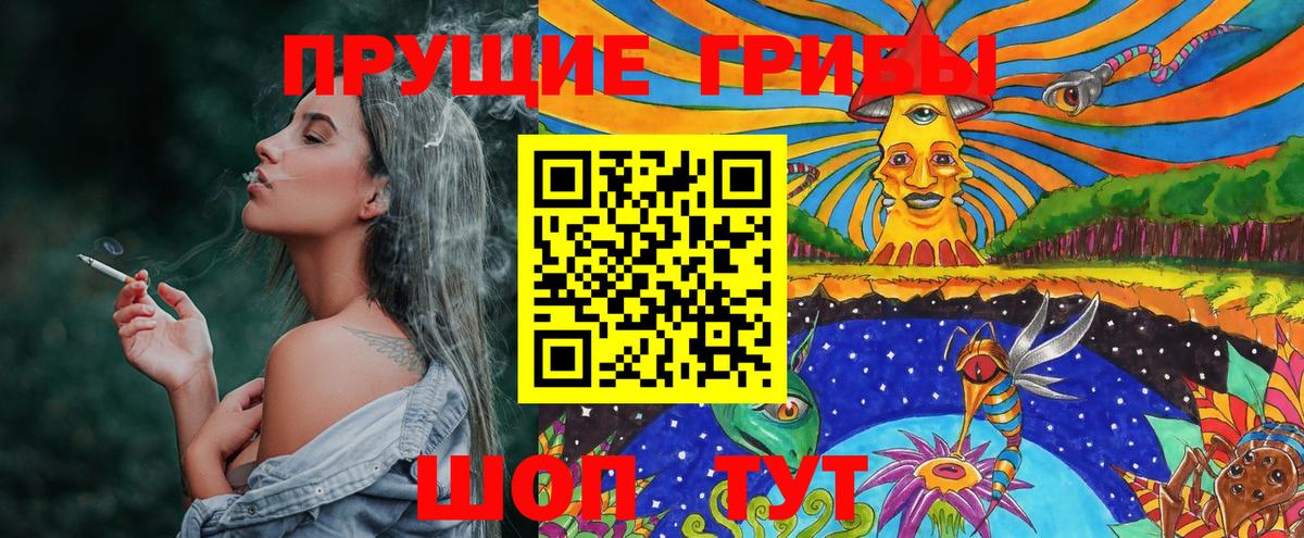 Псилоцибиновые грибы Psilocybine cubensis  Галлюциногенные грибы GOLDEN TEACHER  Вход с VPN  Балашиха 