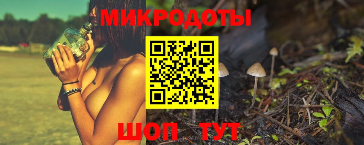 Галлюциногенные грибы Psilocybe Балашиха